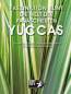 Preview: Faszination Bunt – Die Welt der panaschierten Yuccas